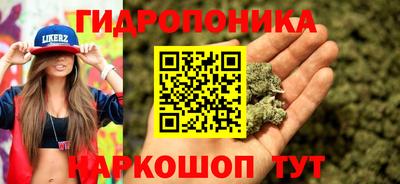эйфоретик Будённовск